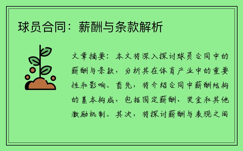 球员合同：薪酬与条款解析
