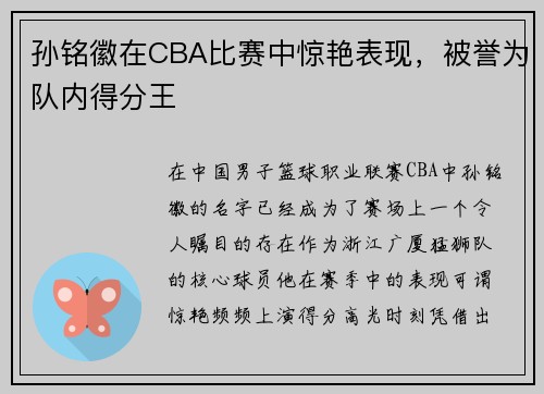 孙铭徽在CBA比赛中惊艳表现，被誉为队内得分王